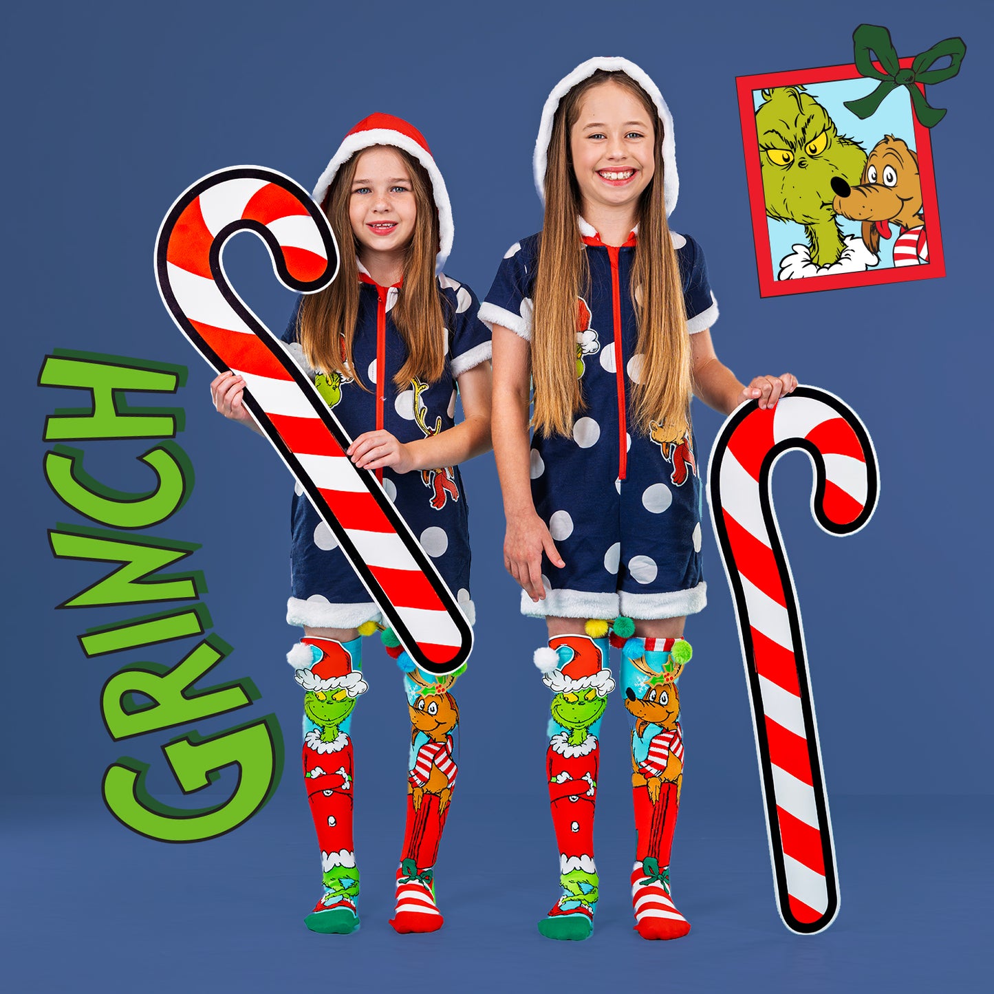 GRINCH AND MAX SOCKS